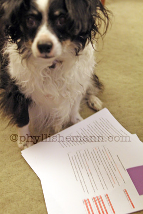 Picture Book manuscript by Phyllis Hemann